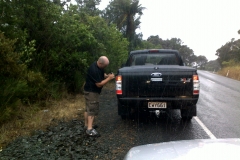 The glamour of TV (3)