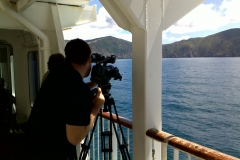 In the Marlborough Sounds