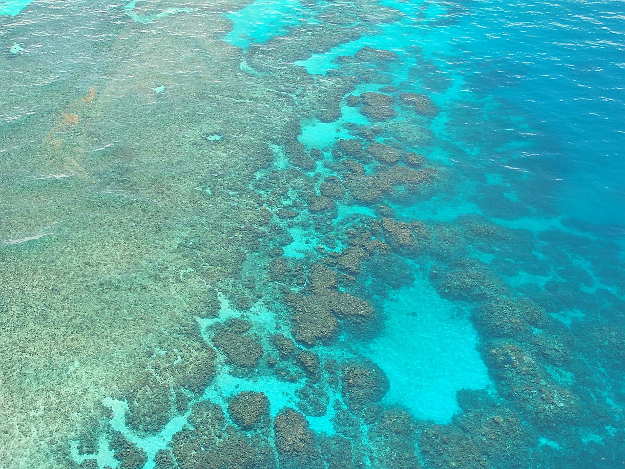 Saving the Great Barrier Reef